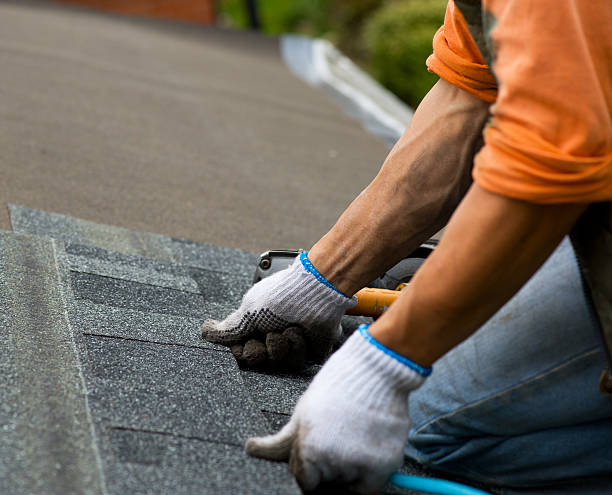 Best Local Roofing Companies  in Goodwater, AL